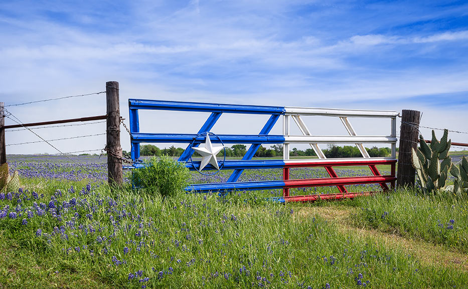 Gates with Texas flag